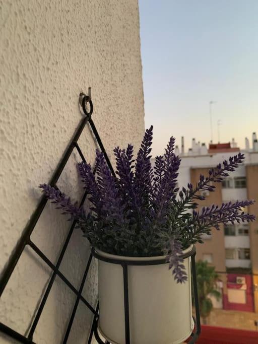 Anfitriones De Glamour - Albor De Sevilla Montequinto 외부 사진